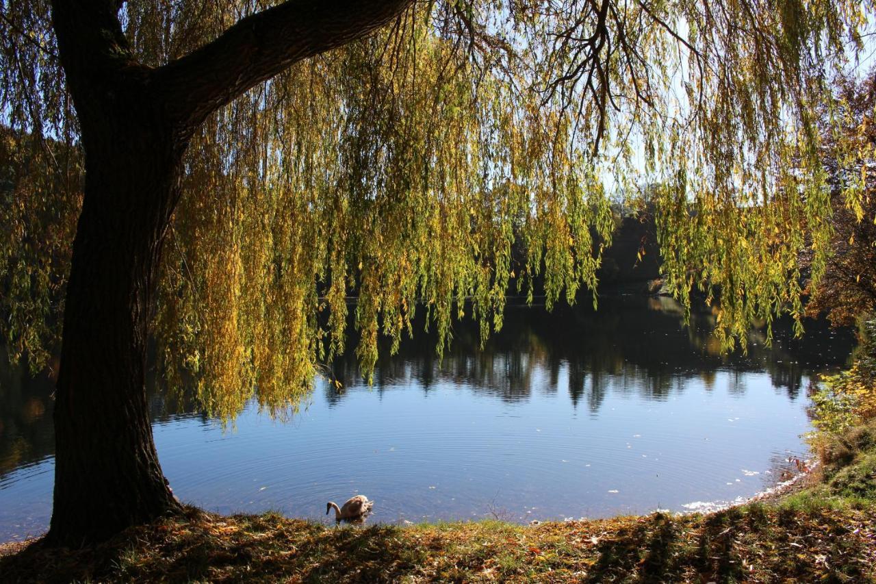 Ferienwohnungen Eifelstuben Mit Charme - Am See, Nahe Burg Ulmen Exterior foto